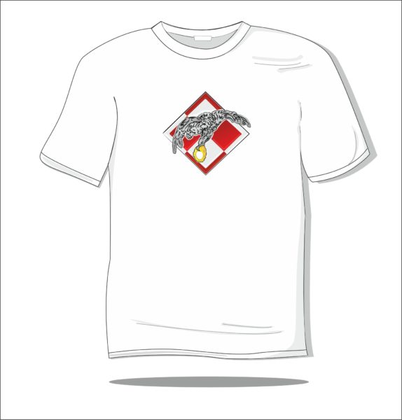 Koszulka z nadrukiem kolorowym Orzeł lotnictwa
